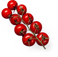 cherry.png